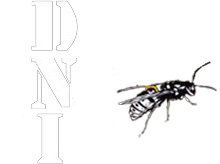 Destruction nids d'insectes