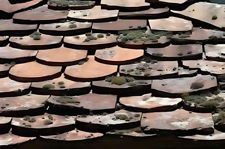 Démoussage toiture Ancenis